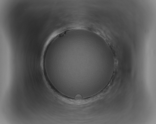 X0000111120006200907071007