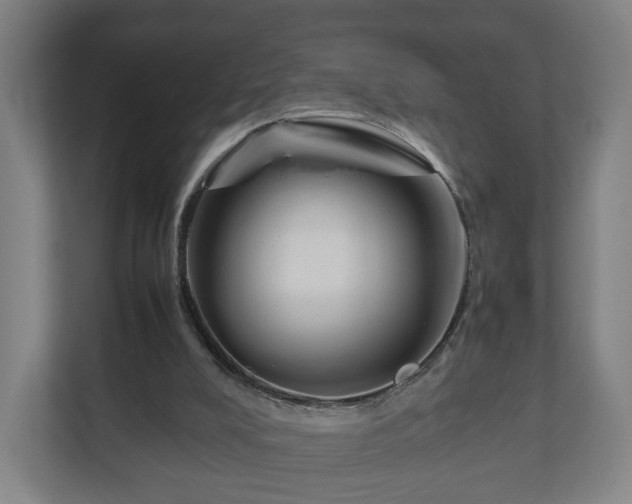 X0000111120008200907071007