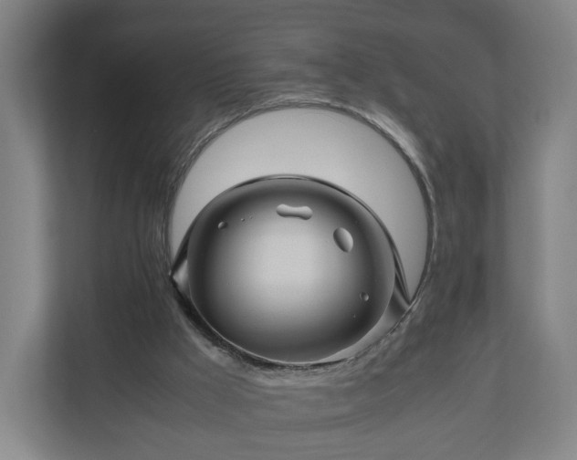 X0000111120009200907071007