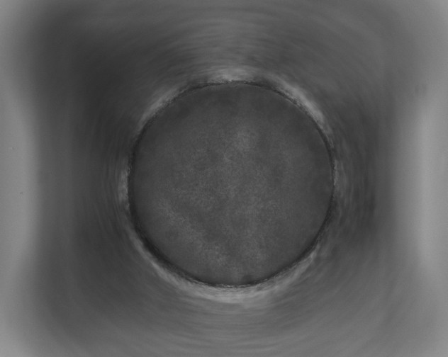 X0000111120010200907071007