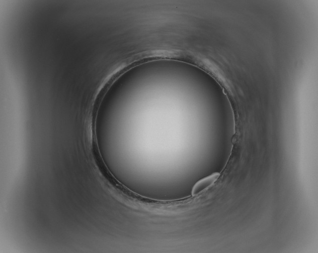 X0000111120011200907071007