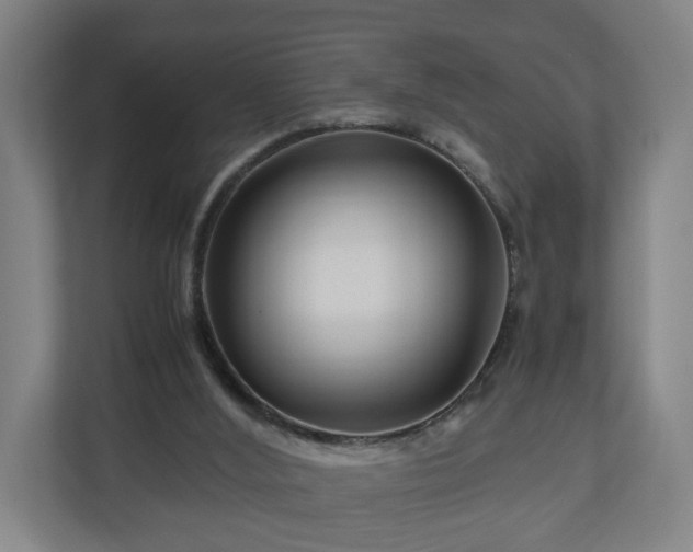 X0000111120012200907071007