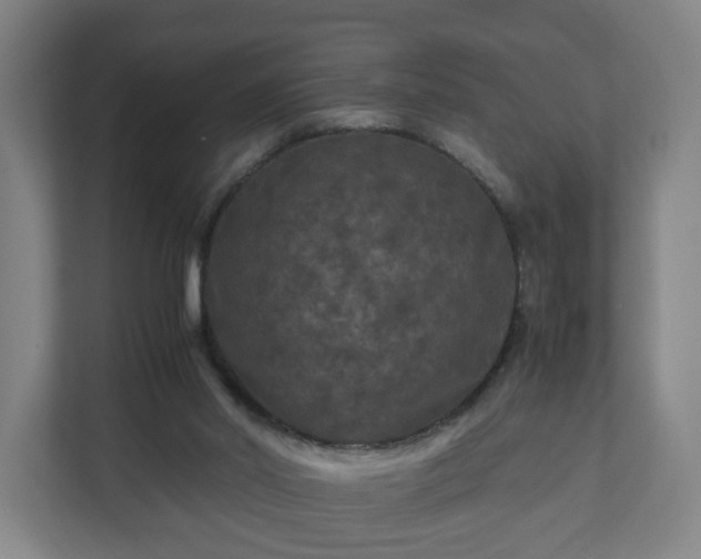 X0000111120014200907071007