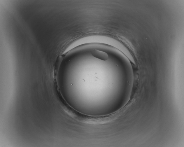 X0000111120017200907071007