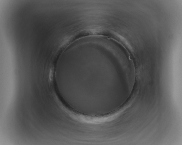 X0000111120018200907071007