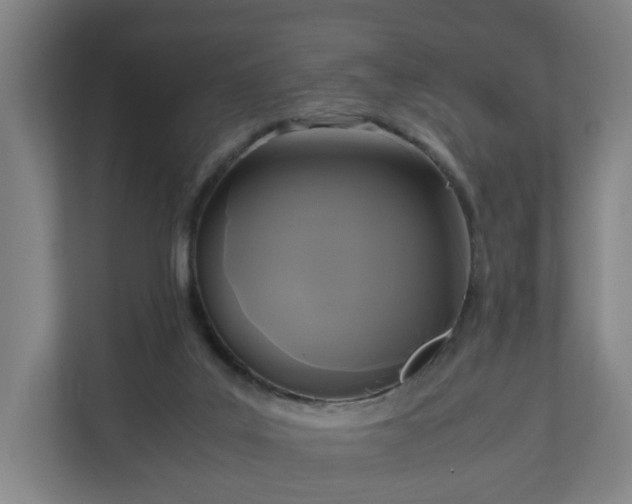 X0000111120019200907071007