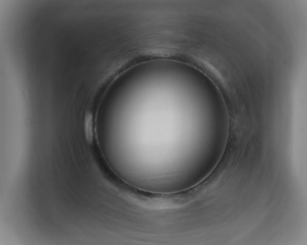 X0000111120020200907071007