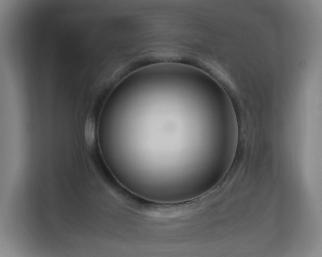 X0000111120021200907071007