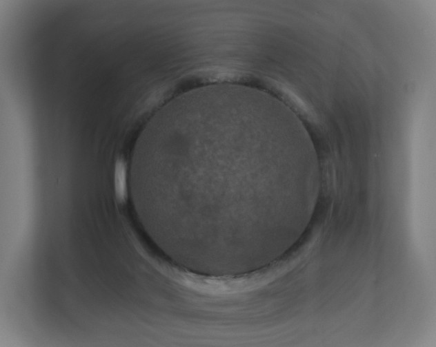 X0000111120022200907071007