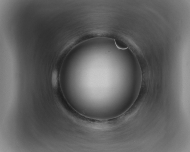 X0000111120024200907071006