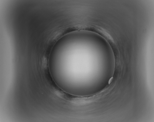 X0000111120025200907071006