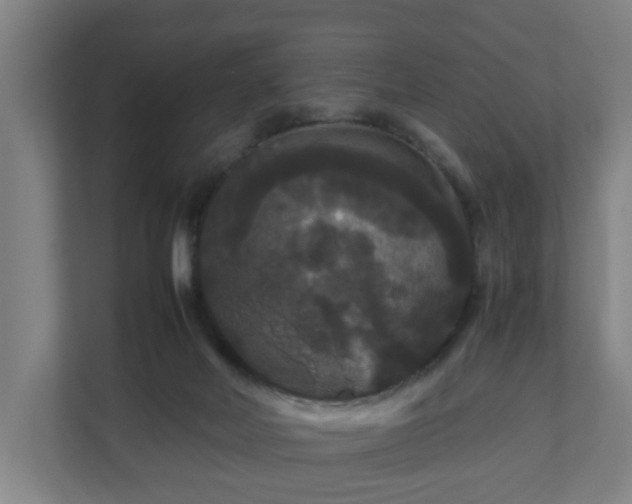 X0000111120026200907071006