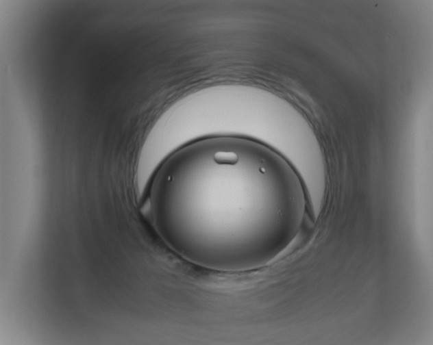 X0000111120029200907071006