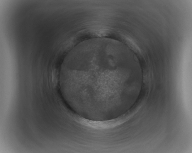 X0000111120030200907071006