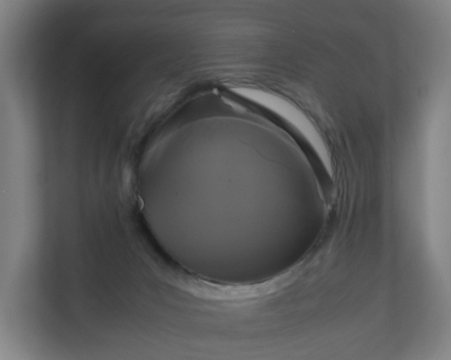 X0000111120031200907071006