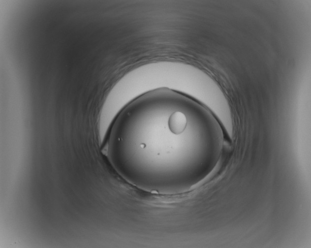 X0000111120033200907071006