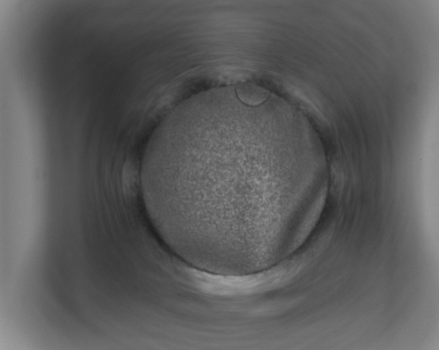 X0000111120034200907071006