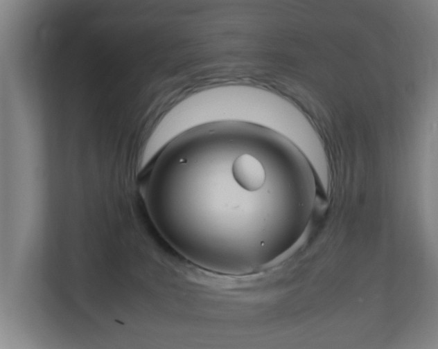 X0000111120035200907071006