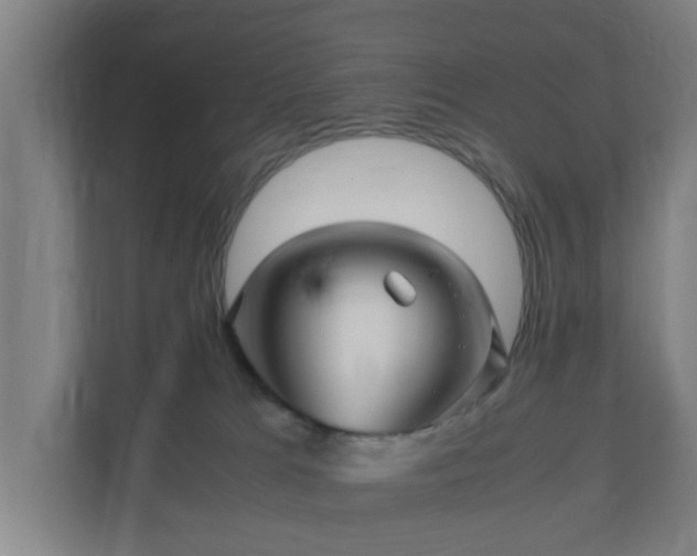 X0000111120037200907071006