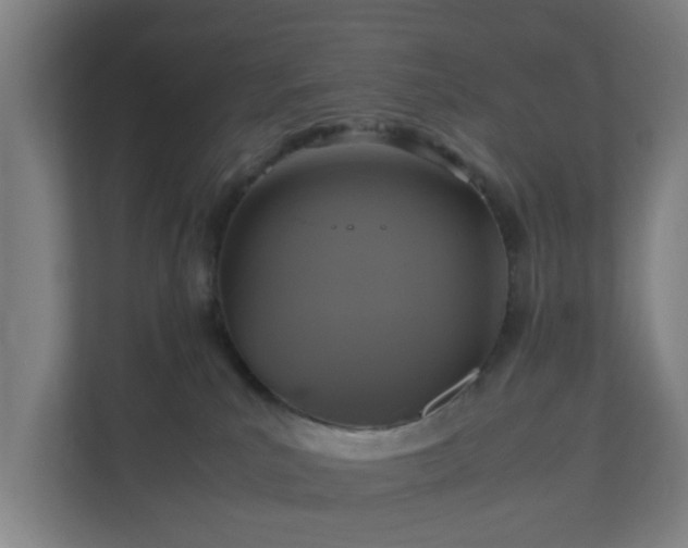 X0000111120039200907071006