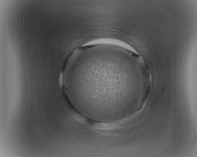 X0000111120041200907071006