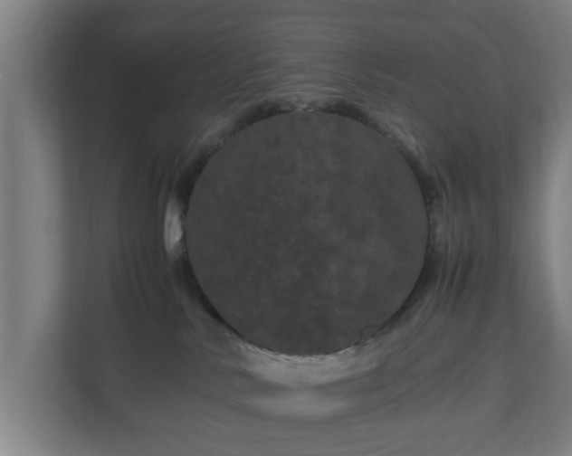 X0000111120042200907071006