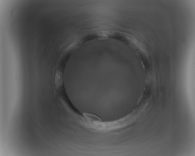 X0000111120043200907071006