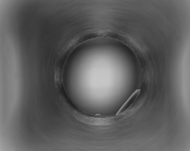 X0000111120044200907071006