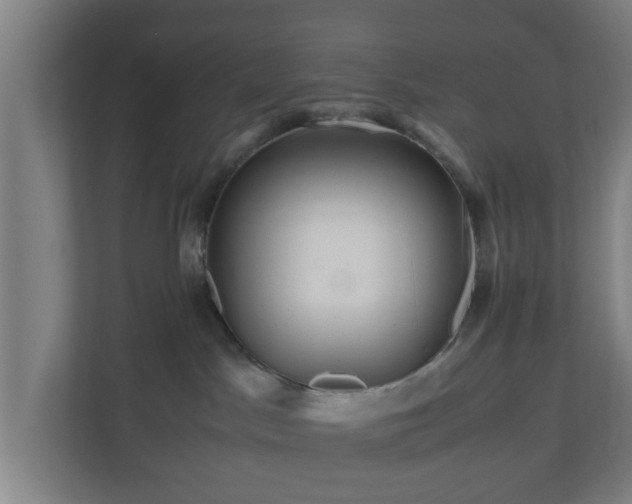 X0000111120045200907071006