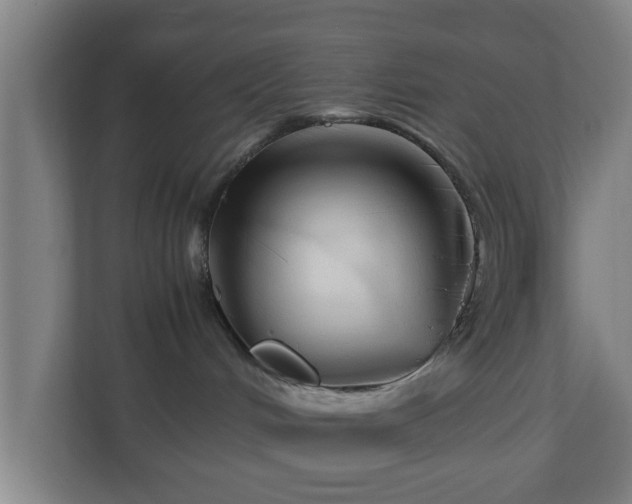 X0000111120048200907071006