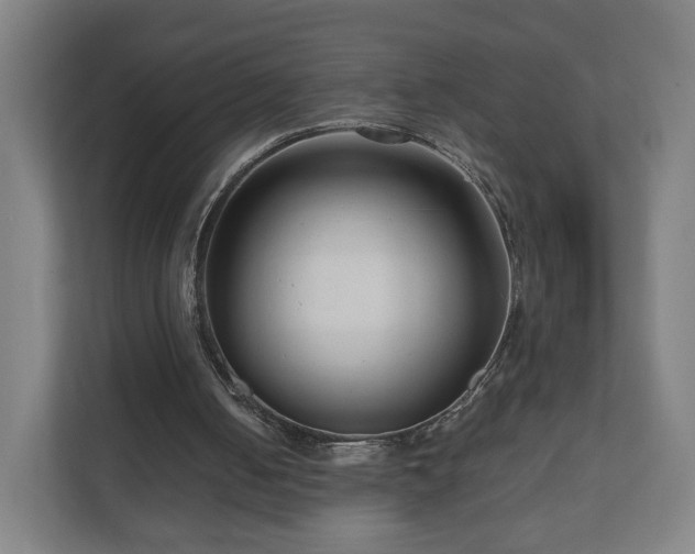 X0000111120050200907071006