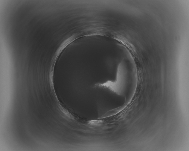 X0000111120051200907071006