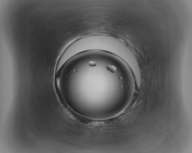 X0000111120052200907071006