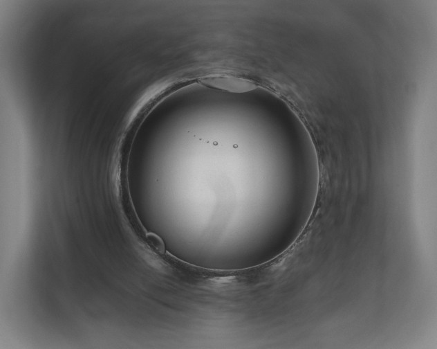 X0000111120054200907071006