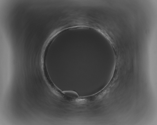 X0000111120055200907071006