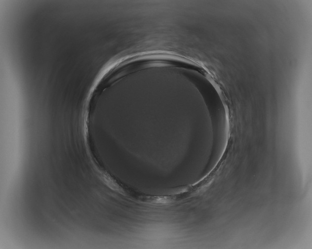 X0000111120056200907071006