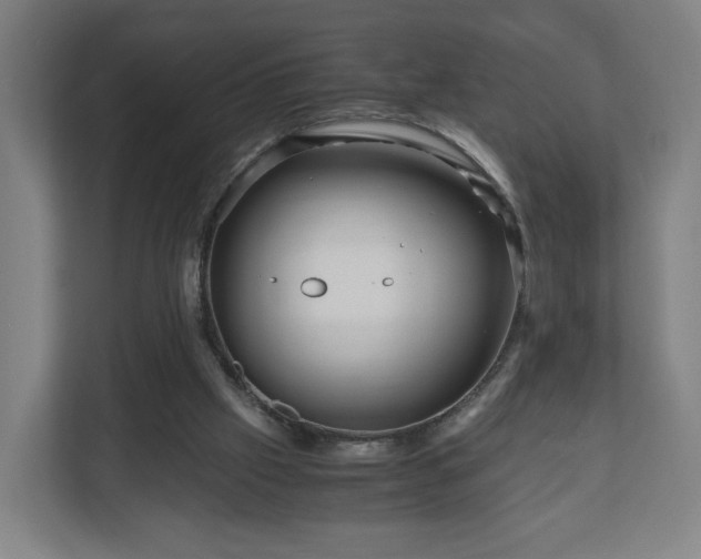 X0000111120057200907071006