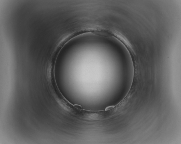 X0000111120058200907071006