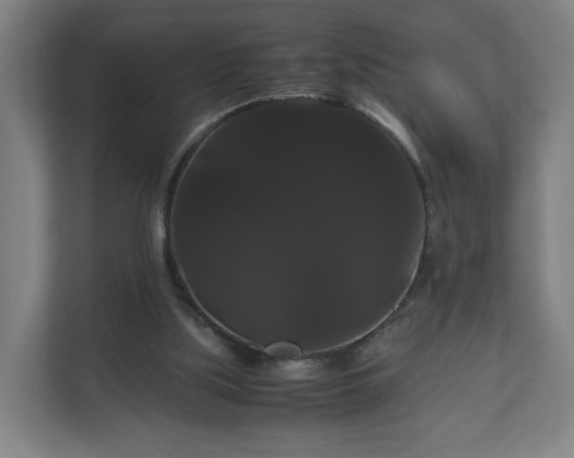 X0000111120059200907071006