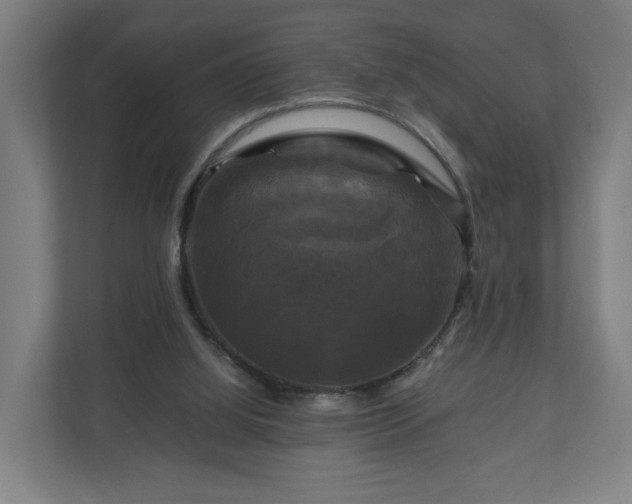 X0000111120060200907071006