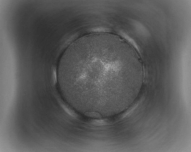 X0000111120061200907071006