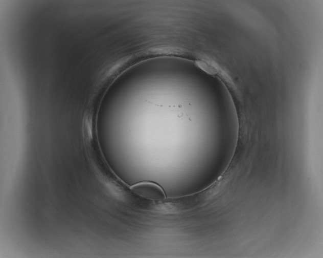 X0000111120062200907071006