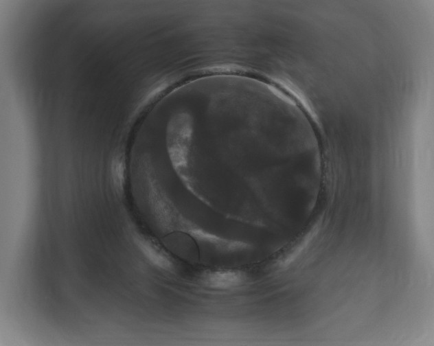 X0000111120063200907071006