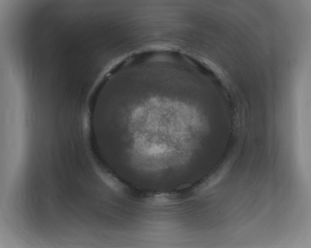 X0000111120064200907071006