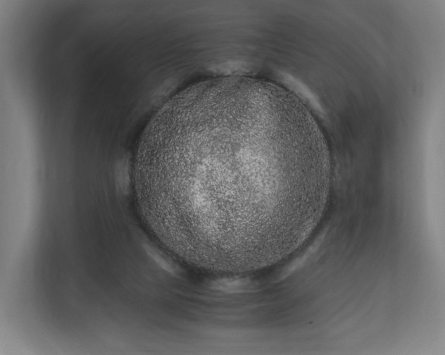 X0000111120065200907071006