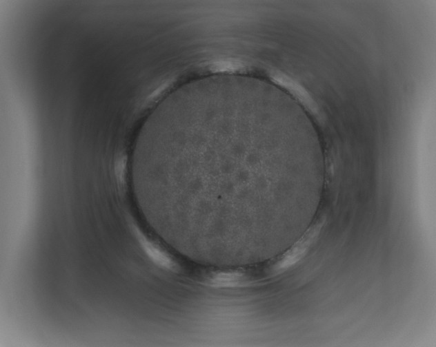 X0000111120066200907071006