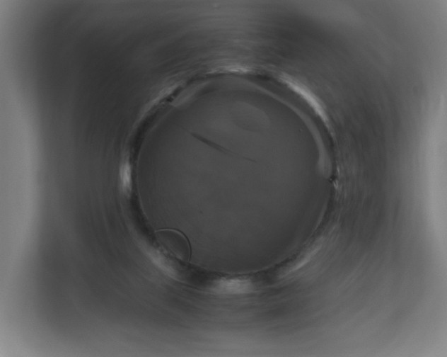 X0000111120067200907071006