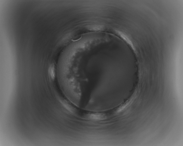 X0000111120069200907071006