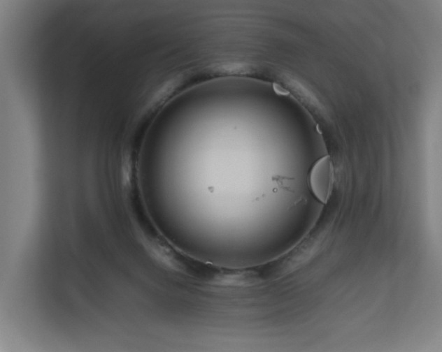 X0000111120072200907071006