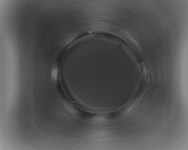 X0000111120076200907071006